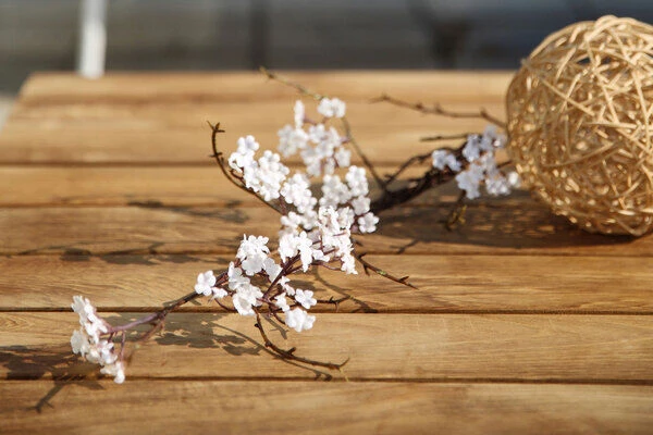 OUTFLEXX Vail Loungemöbel, Weiß/natur/actionlinen, Alu/FSC-Teakholz/Sunbrella, Für Bis Zu 7 Personen, Seitenablagen Aus Teak 11 OUTFLEXX Vail Loungemöbel, Weiß/natur/actionlinen, Alu/FSC-Teakholz/Sunbrella, Für Bis Zu 7 Personen, Seitenablagen Aus Teak – Bild 11